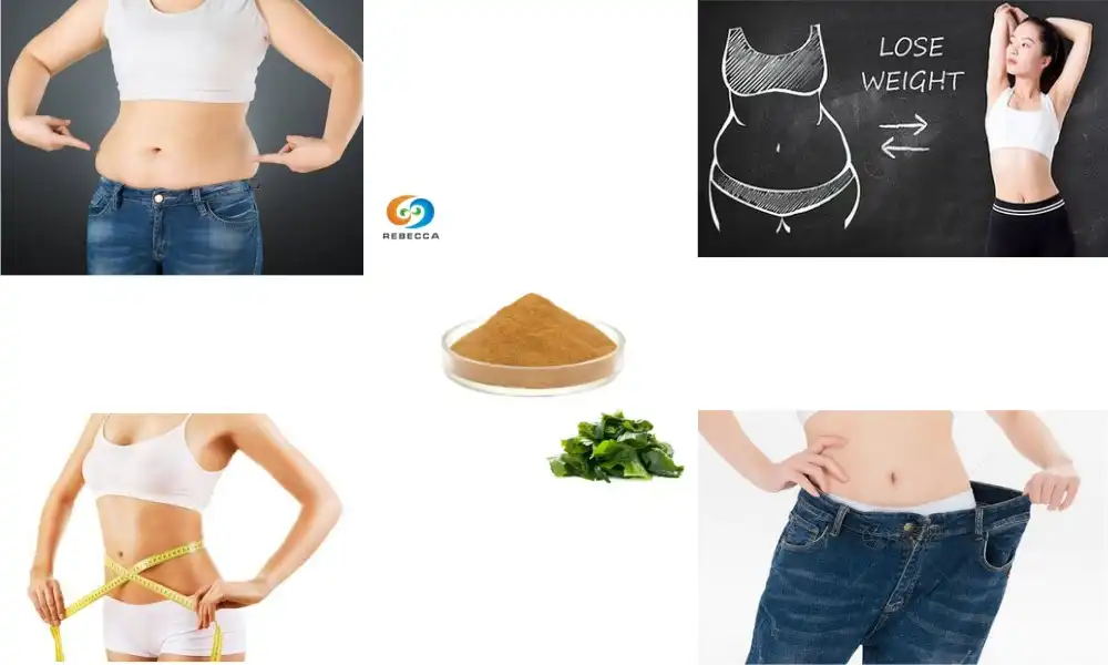 Does fucoxanthin help with weight loss?